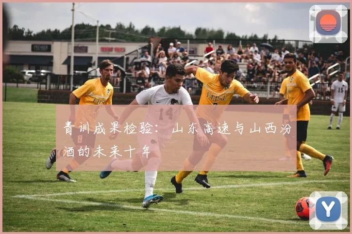 青训成果检验：山东高速与山西汾酒的未来十年
