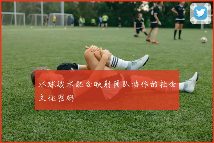 水球战术配合映射团队协作的社会文化密码