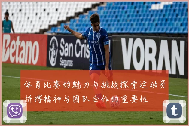 体育比赛的魅力与挑战探索运动员拼搏精神与团队合作的重要性