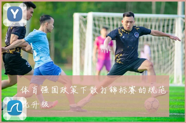 体育强国政策下散打锦标赛的规范化升级