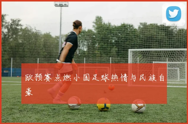 欧预赛点燃小国足球热情与民族自豪