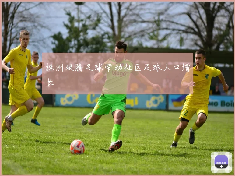株洲狼腾足球带动社区足球人口增长