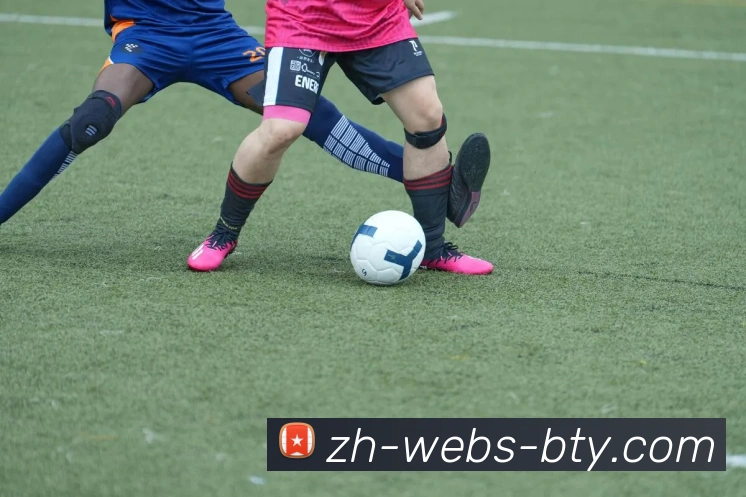 bsports服务体系